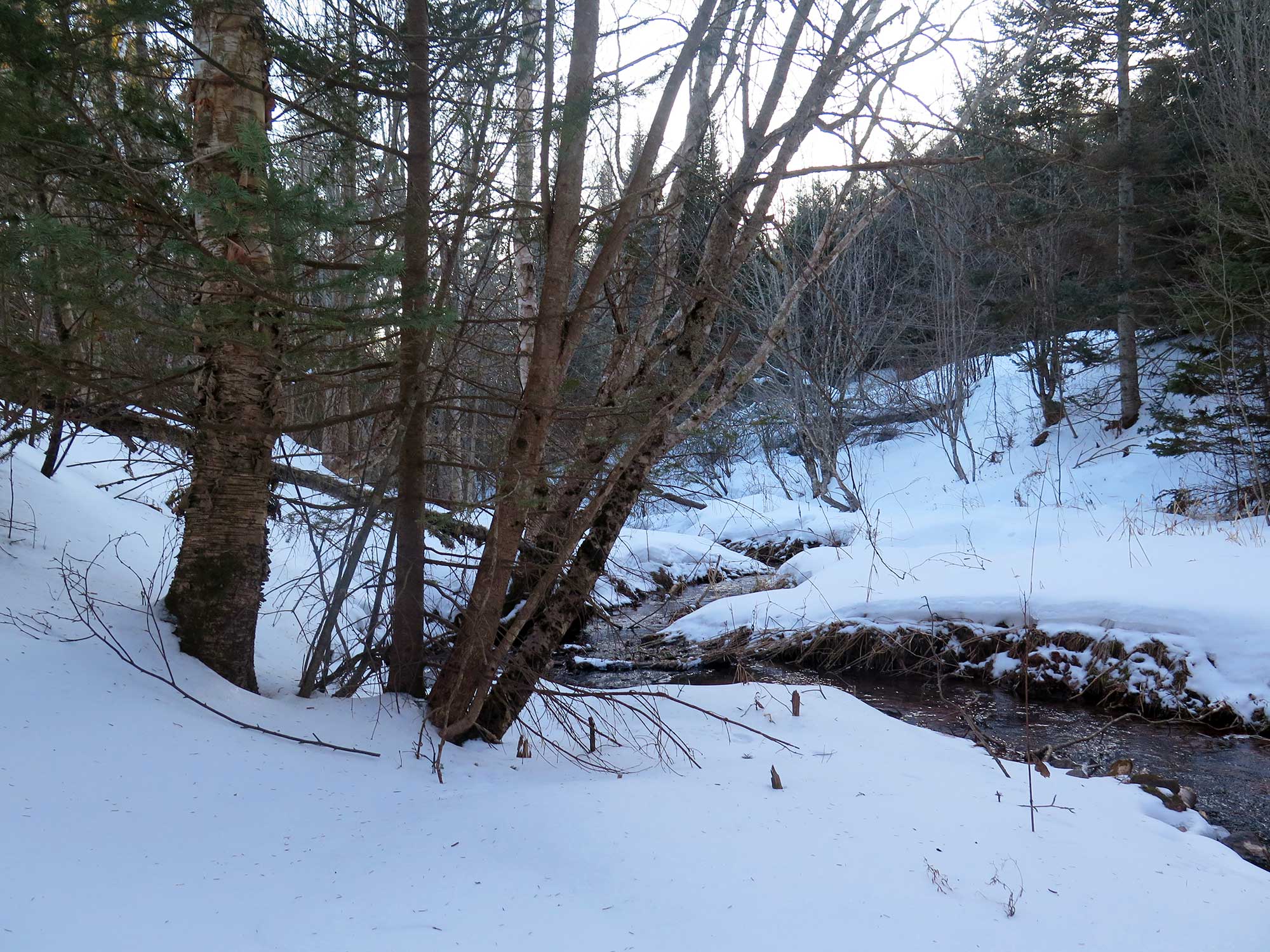 About Clyde River PEI